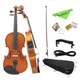 Astonvilla 4/4 Electric Violin Acoustic EQ Natural Surface Maple Back Electric Violin Case Shoulder