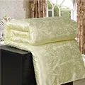 Silk Summer&winter Quilt Air Condition Blanket Satin Jacquard Large Size Adult Comforter Bed Cover