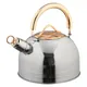 3L Whistling Kettle For Gas Stove All Stove Tops Stainless Steel Coffee Tea Rising Kettle With With