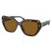 Solid Dark Brown Cat Eye Sunglasses Ty7194f 172883 57 - Brown - Tory Burch Sunglasses