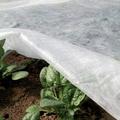 Gabrielle - 2x10 m Blanc, Voile d'Hivernage pour Plantes et Cultures, en Tissu Non Tissé 30 g/m²,