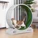 Tucker Murphy Pet™ Cat Treadmill Exercise Wheel Lockable, Large Plastic in Gray/White | 33.86 H x 13.19 W x 31.5 D in | Wayfair