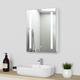 Bathroom led Mirror Cabinet with Shaver Socket Illuminated Dimmable led Mirror Cabinet with Anti-fog 600x800mm - Acezanble