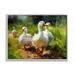 Stupell Industries Az-076-Framed Duck Family In Nature by Ziwei Li Canvas in Green | 24 H x 30 W x 1.5 D in | Wayfair az-076_gff_24x30