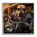 Stupell Industries Az-169-Framed Bulldog Biker Portrait by Roozbeh Canvas in Black | 12 H x 12 W x 1.5 D in | Wayfair az-169_gff_12x12