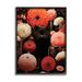 Stupell Industries Bb-241-Framed Black Cat Among Dahlias Framed On by Gary Shergill Designs Print in Black/Brown/Red | Wayfair bb-241_fr_11x14