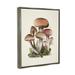 August Grove® Brown Woodland Mushrooms Framed On Canvas by Studio Q Canvas | 21 H x 17 W x 1.7 D in | Wayfair F3A168153F934E92B732C70AA4AADF0C