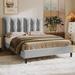 Lark Manor™ Arlet Panel Bed Upholstered/Velvet in Gray | 45.28 H x 58.27 W x 79.92 D in | Wayfair F47D4708115545B8B28CB681616625FB