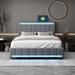 Ivy Bronx Labriola Platform Storage Bed Upholstered/Linen in Gray | 44.5 H x 56.7 W x 78 D in | Wayfair 38BE69ECF7C6484B82CAC46196A7B774