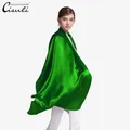 Écharpe en Satin de Mûrier pour Femme Châle Long 55x180cm Solide Document Bambou Vert 21 100%