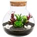 Candy Jar Hydroponic Plants Terrarium Jars Light Bulb Office