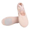 1 Pair Girls Ballet Shoes Full Stretch Fabric Dance Shoes Soft Breathable Wear Resistant Lightweight Toddler Dance Slippers Shoes-34 Pink