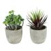 2 Pcs Plant for Bedroom Plants for Bedroom Fake Succulent Artificial Succulent Decorative Succulent with Pots