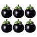 Simulation Fruit 6 Pcs Artificial Fruit Model Ornament Realistic Fruit Model Fruit Model Ornament