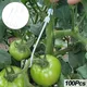 J Shaped Tomato Hooks Vegetable Cherry Grape Plant Support Clips Fixed Hooks for Prevent Tomato