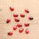 V-Gardening accessories seven-spotted ladybug succulent plant accessories-