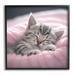 Stupell Industries Soft Kitten Tucked In by Roozbeh Print Canvas in Pink | 12 H x 12 W x 1.5 D in | Wayfair ba-539_fr_12x12