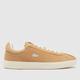 Lacoste baseshot trainers in tan