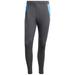 Men's adidas Gray Argentina National Team 2024 AEROREADY Training Pants