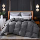 Queen Size Soft Warm Duvet Comforter Set Grey Solid