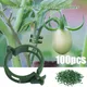 100 PCS Plant Support Clips Plastic Ties Trellis Stake Clips Garden Veggie Tomato Greenhouse Holder