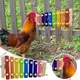 Bird Chicken Xylophone Toy Wooden Suspensible Bird Cage Accessories Musical Toy with 8 Keys for