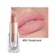 Handaiyan 12 Colors Matte Waterproof Velvet Nude Lipstick Sexy Red Brown Pigments Makeup Long Lasting Profissional