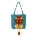 Pet Shoulder Bag with Cartoon Plush Lion Pattern Outcrop Small Lion Pet Canvas Shaped Shoulder Bag