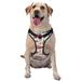 Daiia Watercolor Red Truck And Fir Treedog Harness No-Pull Pet Harnessith 2 Leash Clips Cat Harness And Leash Set Step In Dog Harness For Large Dogs