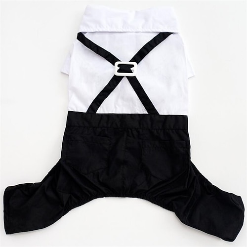 Hunde Katzen Anzug Modisch Party Winter Atmungsaktiv Weich Waschbar Komfortabel Outdoor Casual Hundebekleidung for Bichon Frise Spitz kleines Haustier Schmetterling Small Image