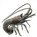 SPI Home Night Walker Florida Lobster Statue - Brass - 8 H x 9.5 W x 7.5 D in.