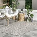 nuLOOM Terenia Leopard Indoor/Outdoor Area Rug 8 x 10 Light Gray