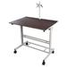 Stand Up Desk Store Rolling Adjustable Height Mobile Standing Desk with Monitor Mount (Silver Frame/Dark Walnut Top 40 Wide)