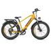 ENGWE Electric Bike E-bike Dual Suspension All-terrain