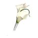 Boutonniere - Natural White Calla Lily With White Ribbon