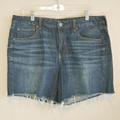 American Eagle Outfitters Shorts | American Eagle Outfitter Women's Tom Girl Midi Shorts Plus Sz 16 | Color: Blue | Size: 16