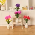 1:12 Dollhouse Miniature Colorful Flowers Vase Potted Plants Flowerpot Bonsai Model Doll House