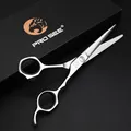 Professional VG10 Stainless Steel Hair Scissors Right Hand Hair Care Scissors from Direct Factory