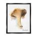 Stupell Industries Bb-047-Floater Abstract Chanterelle Mushroom Framed On Canvas Print Canvas in Brown | 21 H x 17 W x 1.7 D in | Wayfair