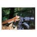 Stupell Industries Funny Squirrel Photographer by Julie Hunt | 10 H x 15 W x 0.5 D in | Wayfair ba-384_wd_10x15