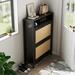 Rebrilliant Rattan Shoe Cabinet w/ 2 Flip Drawer Metal in Black | 43 H x 32 W x 9 D in | Wayfair D4DE8CB3F082413F93FD14D3AB94DFB4