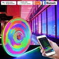 Dreamcolor LED Neon Strip light 12V RGBIC Dimmable LED Strip Lamp RGB Chasing Flexible Tape