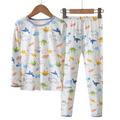 Kids Boys 2 Pieces T-shirt Pants Pajama Set Long Sleeve White Blue Sky Blue Dinosaur Crewneck Spring Fall Fashion Home 7-13 Years