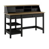 Bush Furniture Mayfield 54W Computer Desk with Shelves and Desktop Organizer in Vintage Black and Reclaimed Pine