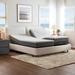 Alwyn Home Forontenac Zero Gravity Adjustable Bed w/ Adjustable Legs & Wireless Remote, Latex | 14.4 H x 37.5 W x 80 D in | Wayfair