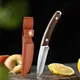 Kitchen Boning Knife Handmade Forged Knife Military Knife- Good Fruit Knife Lightweight Utility Mini