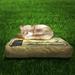 Marytumm Solar Cat Memorial Stones with 3D Sleeping Cat Pet Memorial Stones Grave Markers for Cat Sympathy Cat Memorial Gifts 8(L)x7(W)x3.5(H) inches