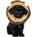 Cat Small Dog Recovery Collar Cute Lion Neck Cone After Surgery Adjustable Pet E Collar Wound Healing Protective Cone Surgery Recovery Elizabethan Collars for Small Pets