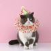 Cat Puppy Princess Costumes Kitten Small Dog Birthday Bandana Scarf and Party Hat Cute Lace Bandana Bib Scarf Crown Hat Pet Birthday Party Decorations Set Colorful Dots Cat Accessories