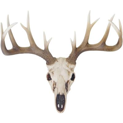 Hegele - Deko Skull 58cm, Polyresin Hirschgeweih Kopf Trophäe, In-/Outdoor Image